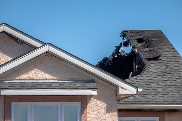 Top rated local Board Up Services specialists in Olney, TX